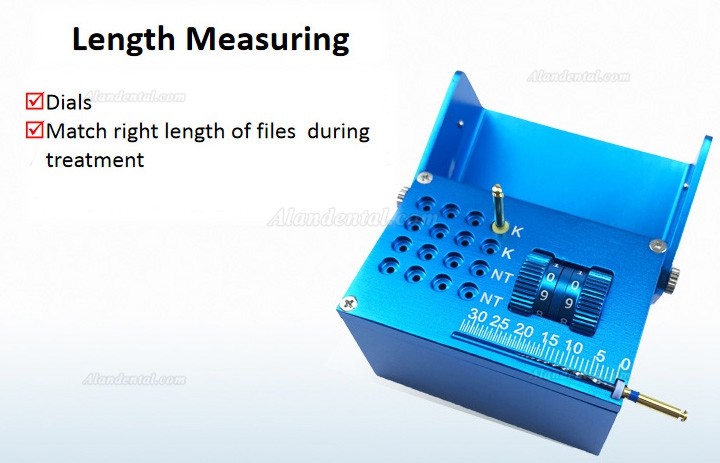 Dental Endo Files Burs Block Box Disinfection Measuring Count Holder